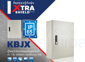 2 ตู้สวิทช์บอร์ดแบบกันน้ำกันฝุ่นฝา 1 ชั้น ไม่มีหลังคา แบบเชื่อม IP65